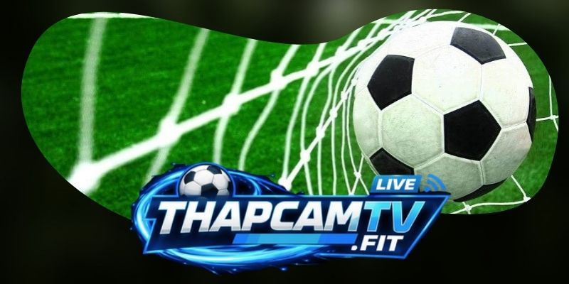 Những quy định quan trọng trong Điều Khoản Dịch Vụ