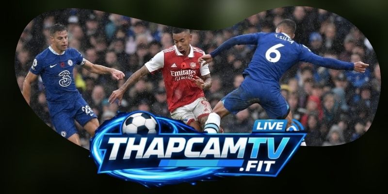 Lịch sử đấu và cách hệ thống tổng hợp dữ liệu