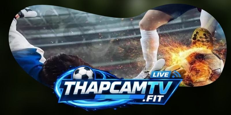 Lý do mà bạn nên đồng hành cùng Thapcamtv