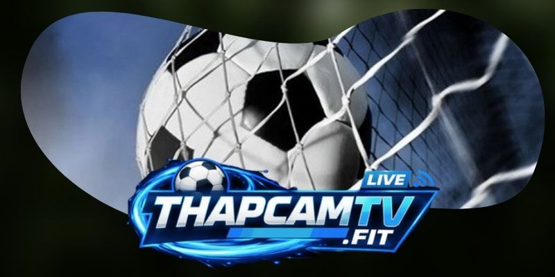 Nội dung chính trong chuyên mục Tin Tức Thapcamtv